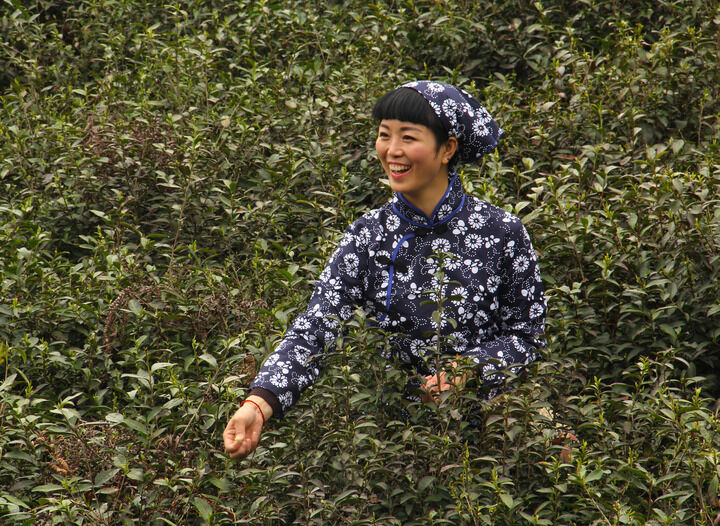 推荐